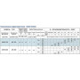 Поверхностный центробежный насос Speroni APM 200