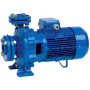 Моноблочный центробежный насос Speroni CS40-250A