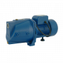 Поверхностный насос Watomo ECO 100L CF